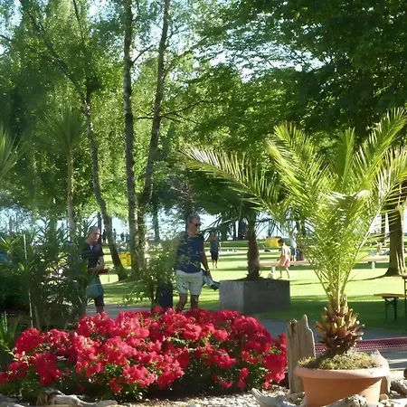 Seemöwe Mit Wintergarten *