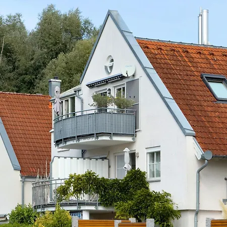 Seemöwe Mit Wintergarten