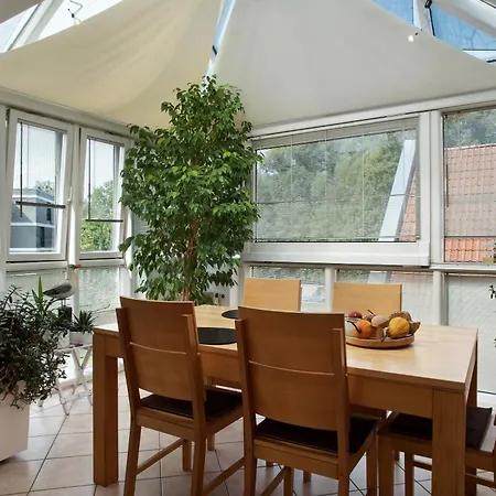 Seemöwe Mit Wintergarten