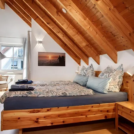 Seemöwe Mit Wintergarten